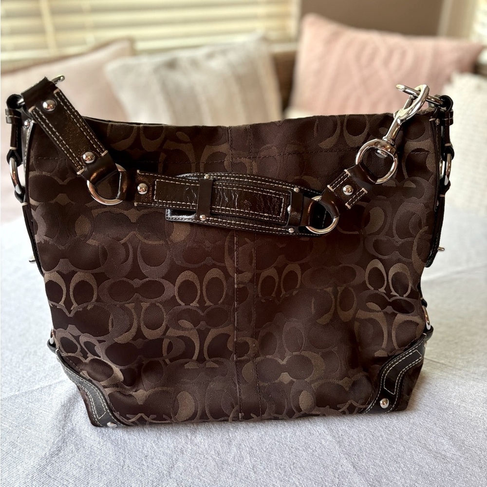 Coach Large Carly Hobo Bag
